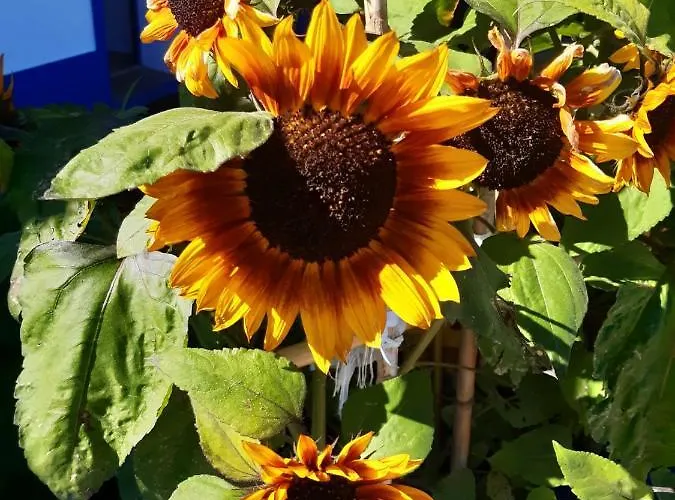 Casinha Do Barreiro - Cosy Private 別荘