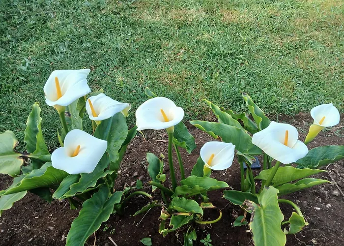 Casinha Do Barreiro - Cosy Private 別荘