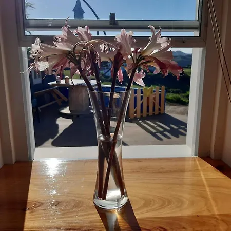 Casinha Do Barreiro - Cosy Private * Vila do Porto